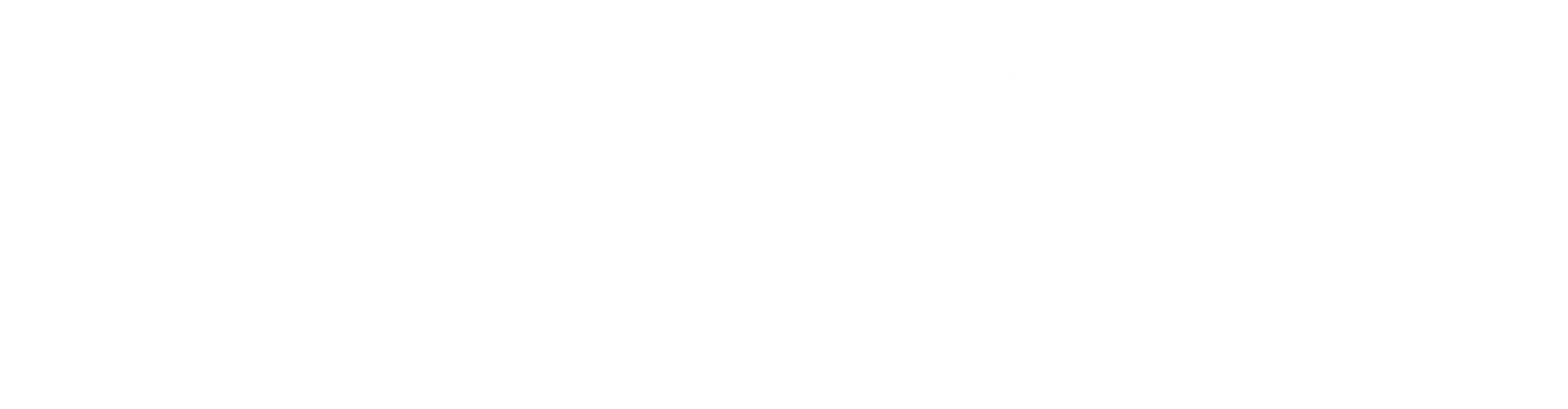 ES_Financiado_por_la_Unión_Europea_RGB_WHITE_Outline _resultado